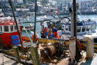 Fishing fleet