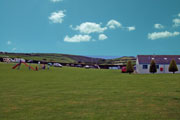 West Waylands Caravan Park