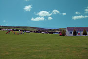 West Waylands Caravan Park